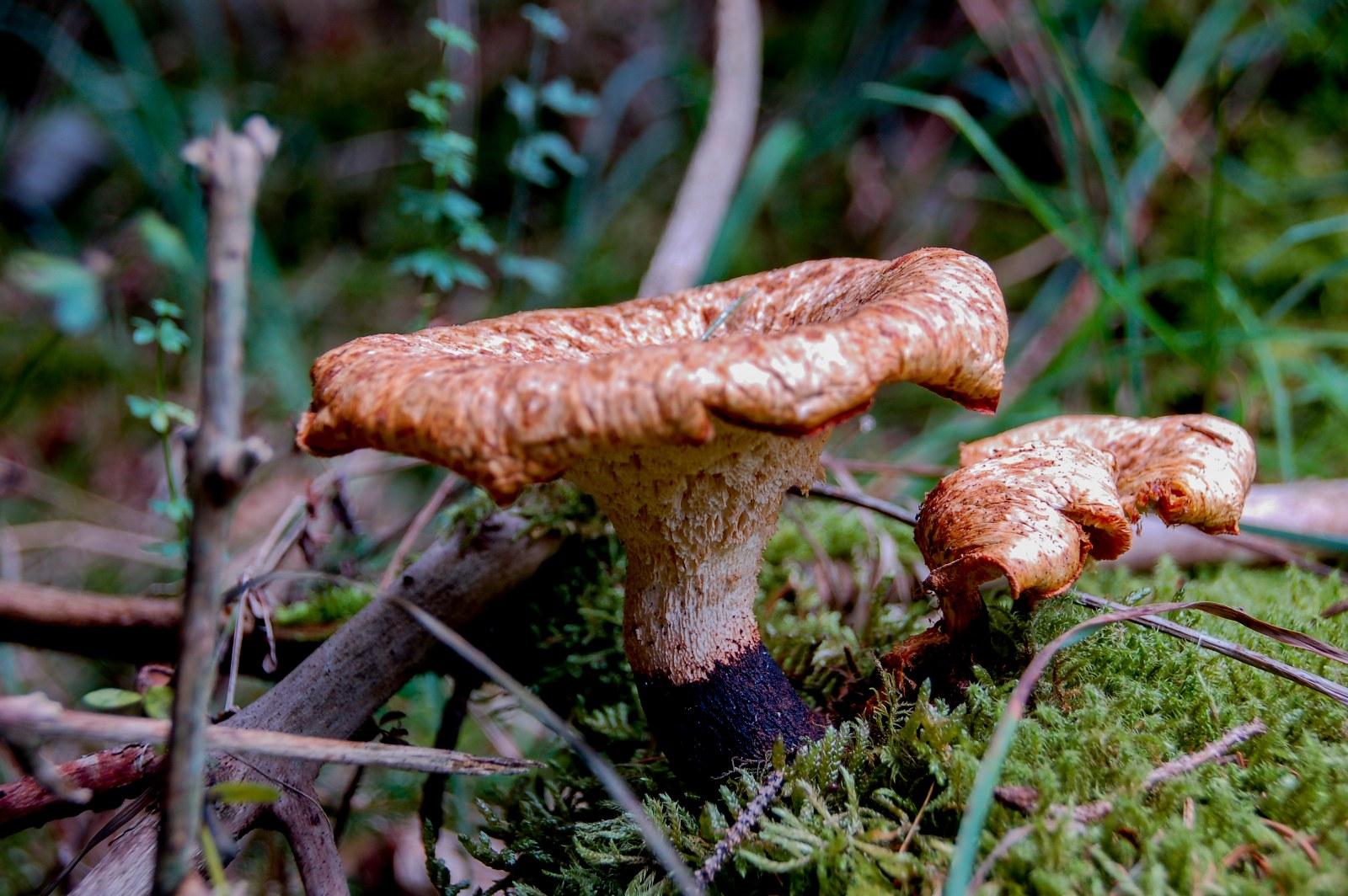 Wie kan mij helpen???